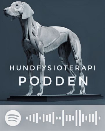 Podcast Fysiocanis